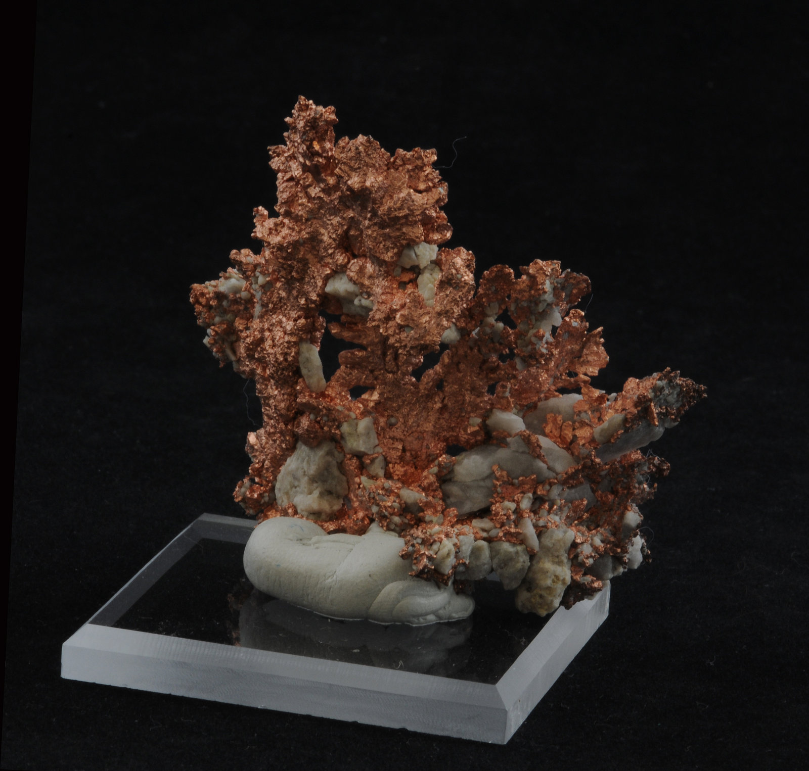 Copper
5.6 x 4.1 cm
(Autor: steven calamuci)