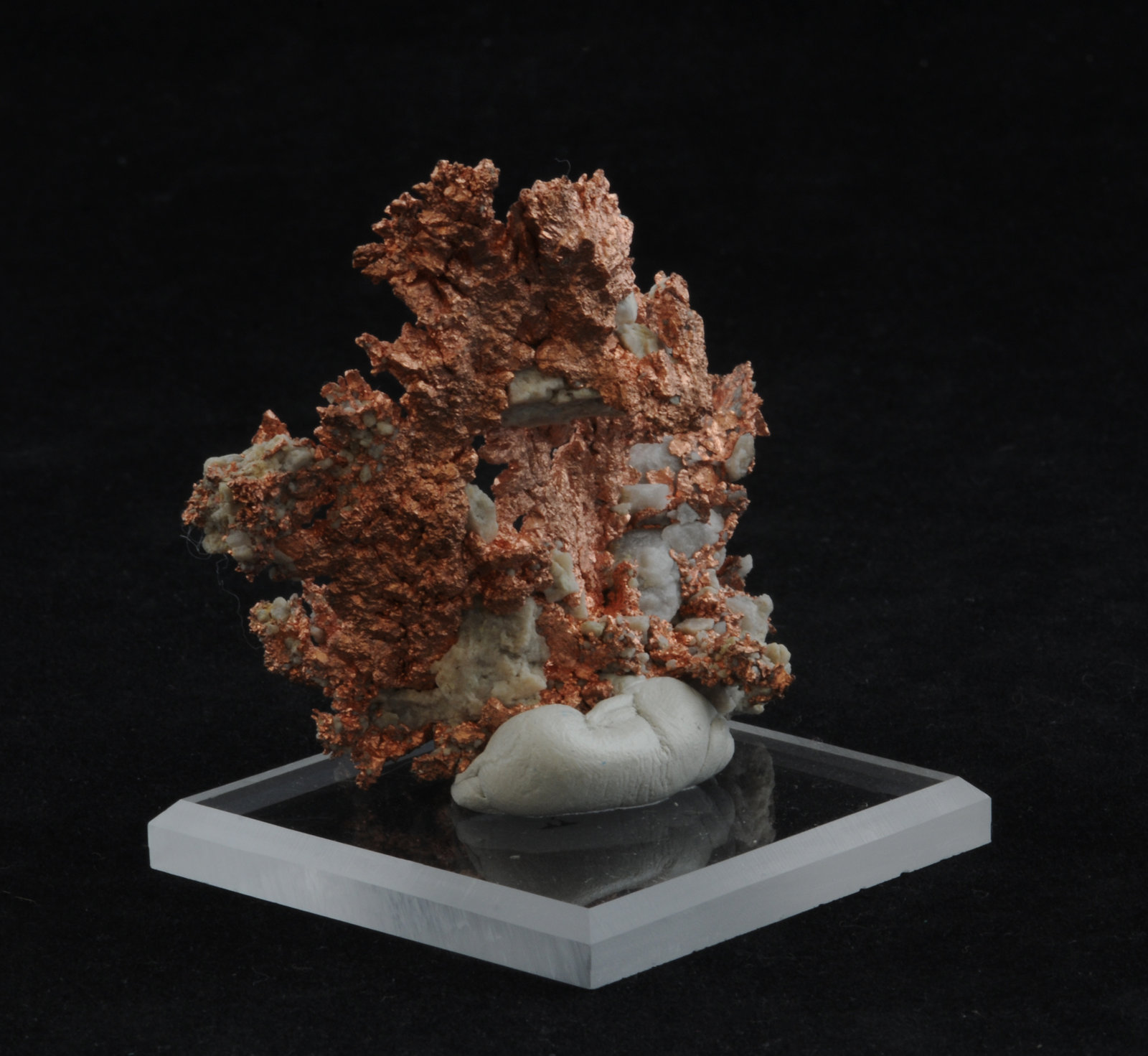 Copper
5.6 x 4.1 cm
(Autor: steven calamuci)