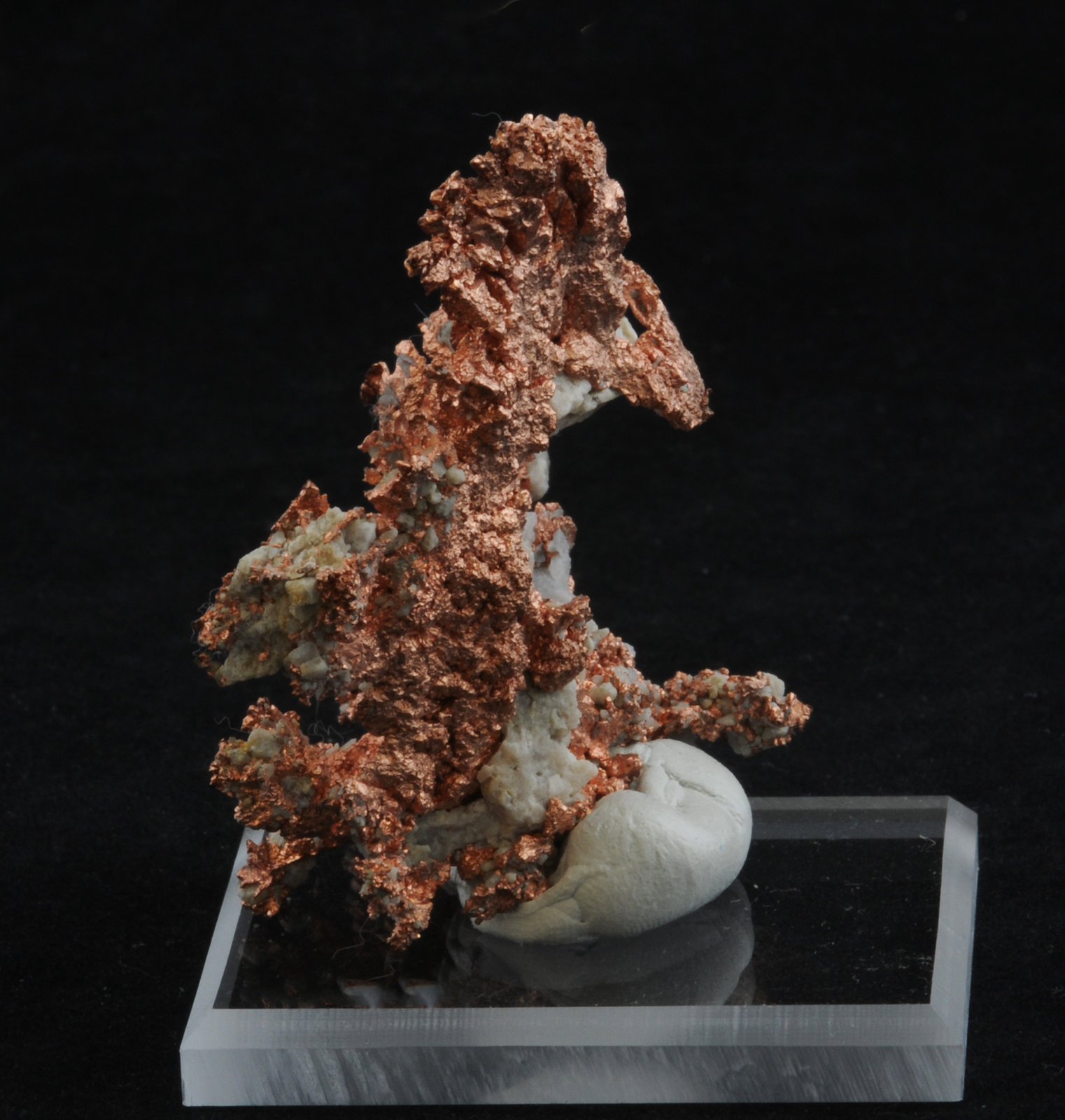 Copper
5.6 x 4.1 cm
(Autor: steven calamuci)