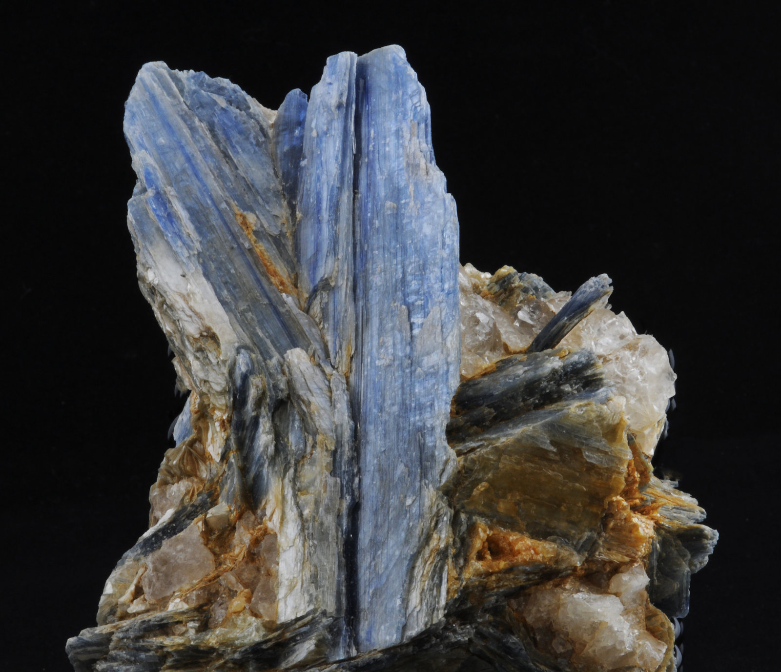Kyanite
15 x 11.7  x 6.0
(Autor: steven calamuci)