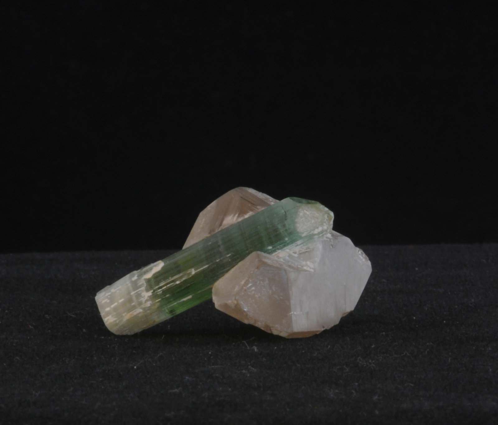Tourmaline and Quartz
3.1 x 2.8 x  2.5 cm
(Autor: steven calamuci)