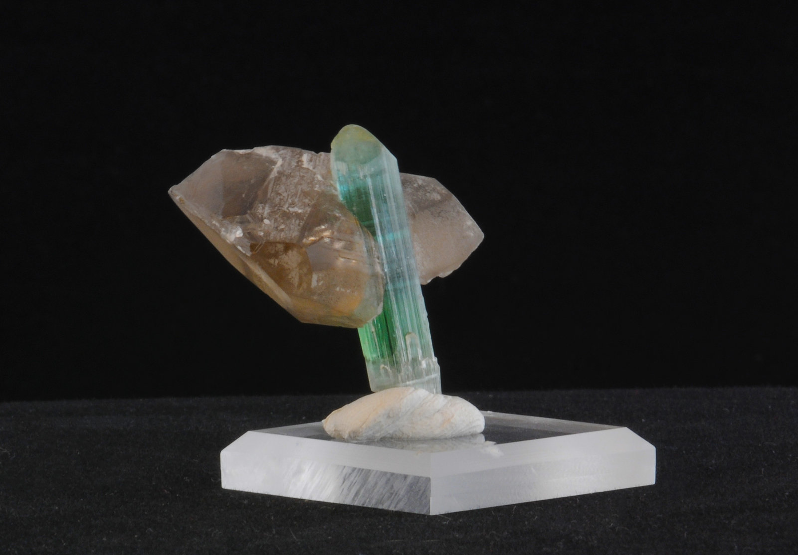 Tourmaline and Quartz
3.1 x 2.8 x  2.5 cm
(Autor: steven calamuci)