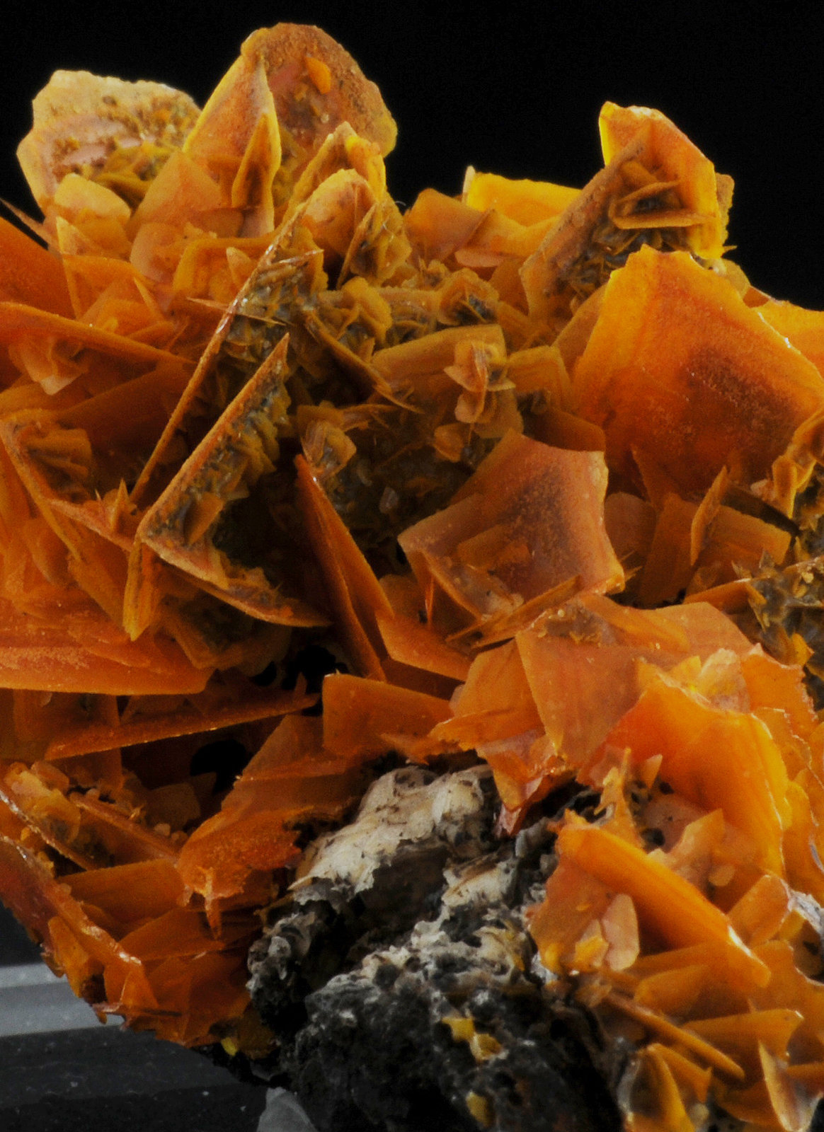 Wulfenite
4.8 x 4.1 x 2.6 cm
(Autor: steven calamuci)