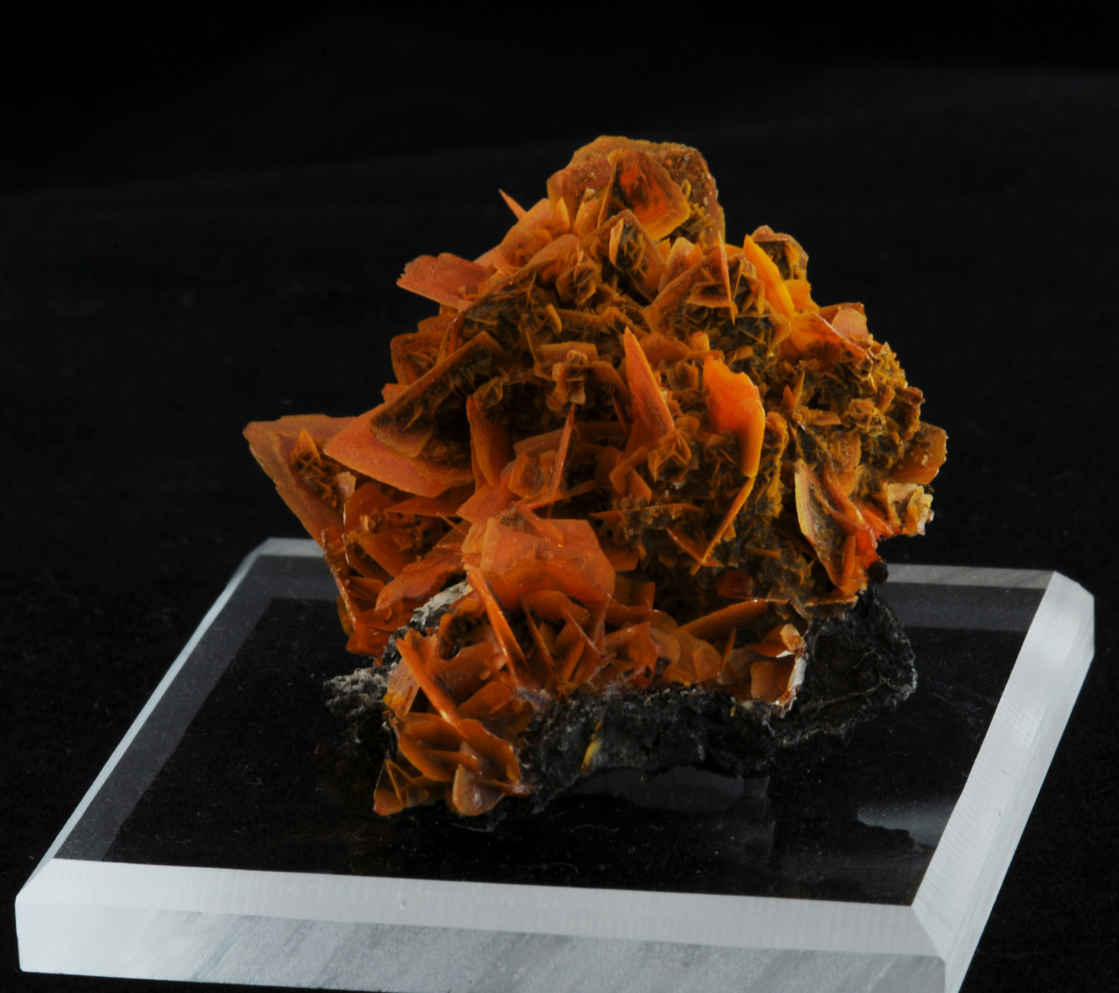 Wulfenite
4.8 x 4.1 x 2.6 cm
(Autor: steven calamuci)
