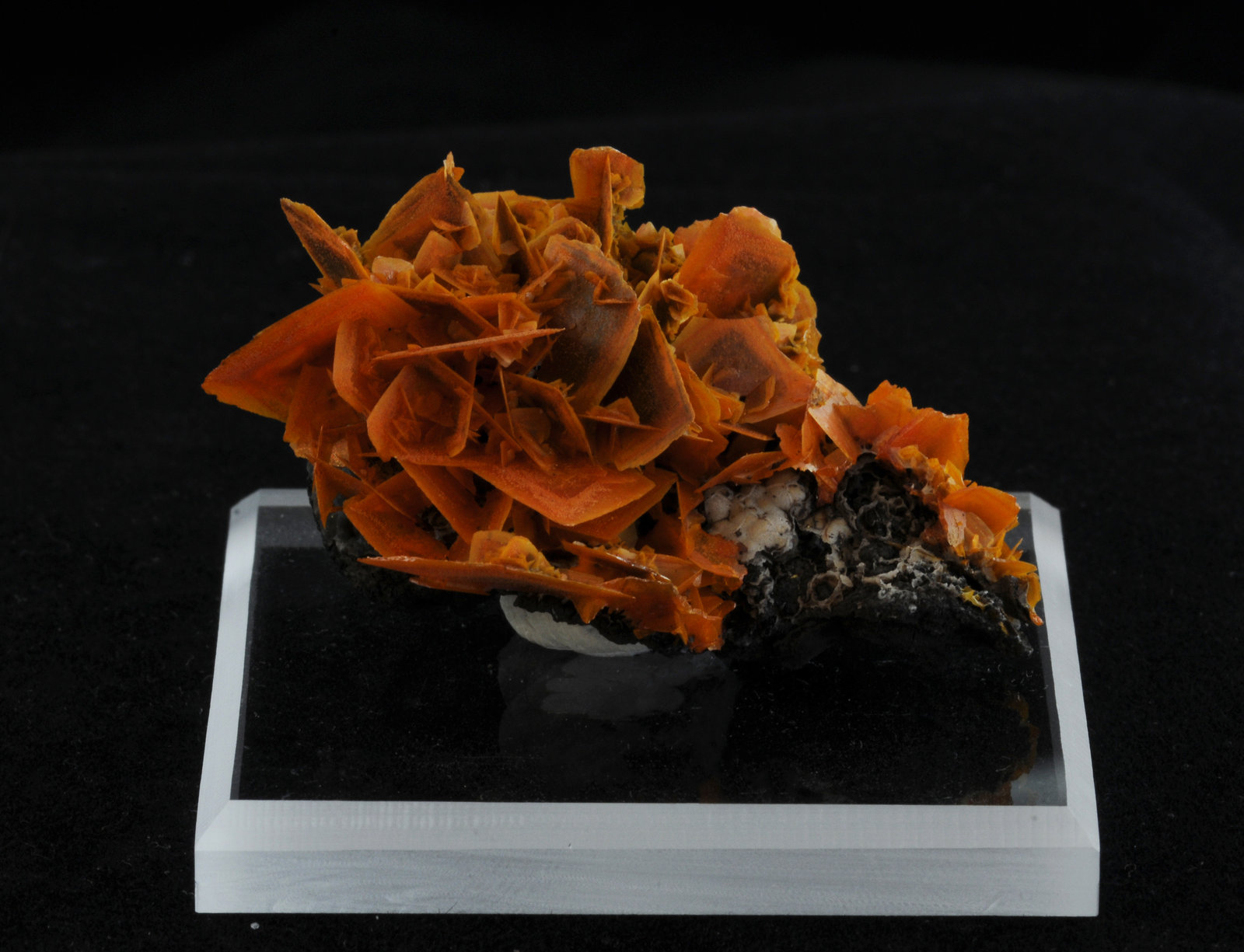 Wulfenite
4.8 x 4.1 x 2.6 cm
(Autor: steven calamuci)