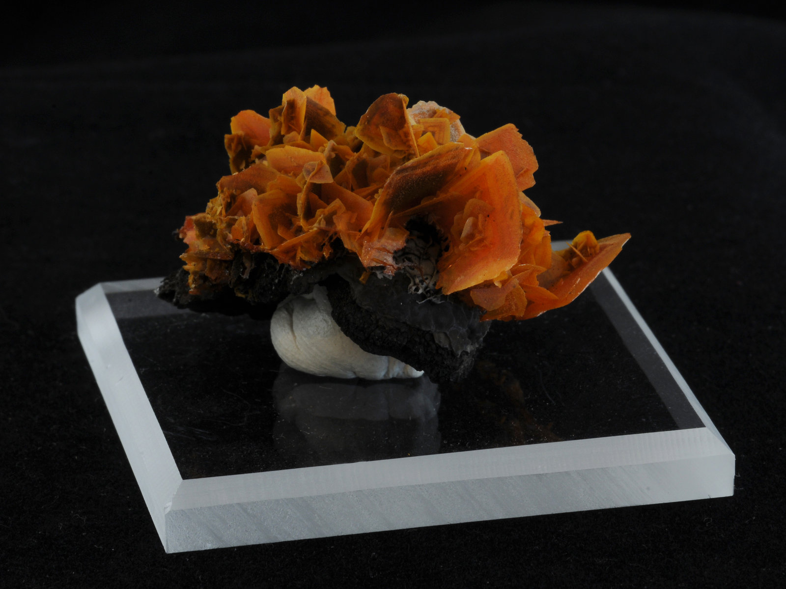 Wulfenite
4.8 x 4.1 x 2.6 cm
(Autor: steven calamuci)