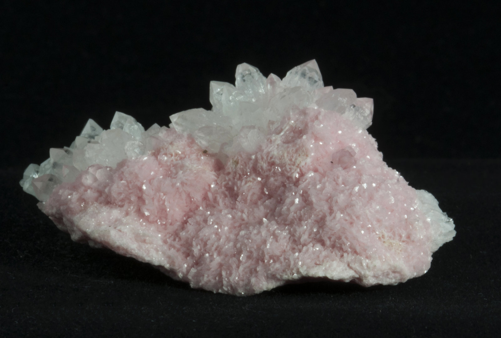 Quartz on Rhodochrosite
5.9 x 4.5 x 2.9 cm
(Autor: steven calamuci)