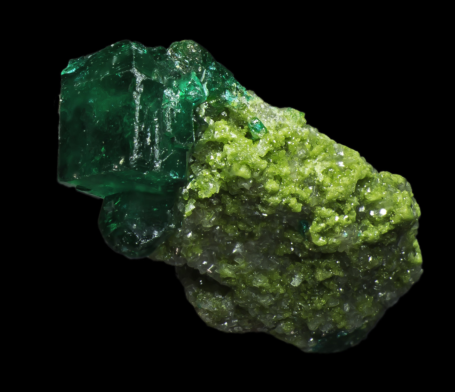 Dioptase
10 x 5 x 5 mm
(Autor: Rob Schnerr)