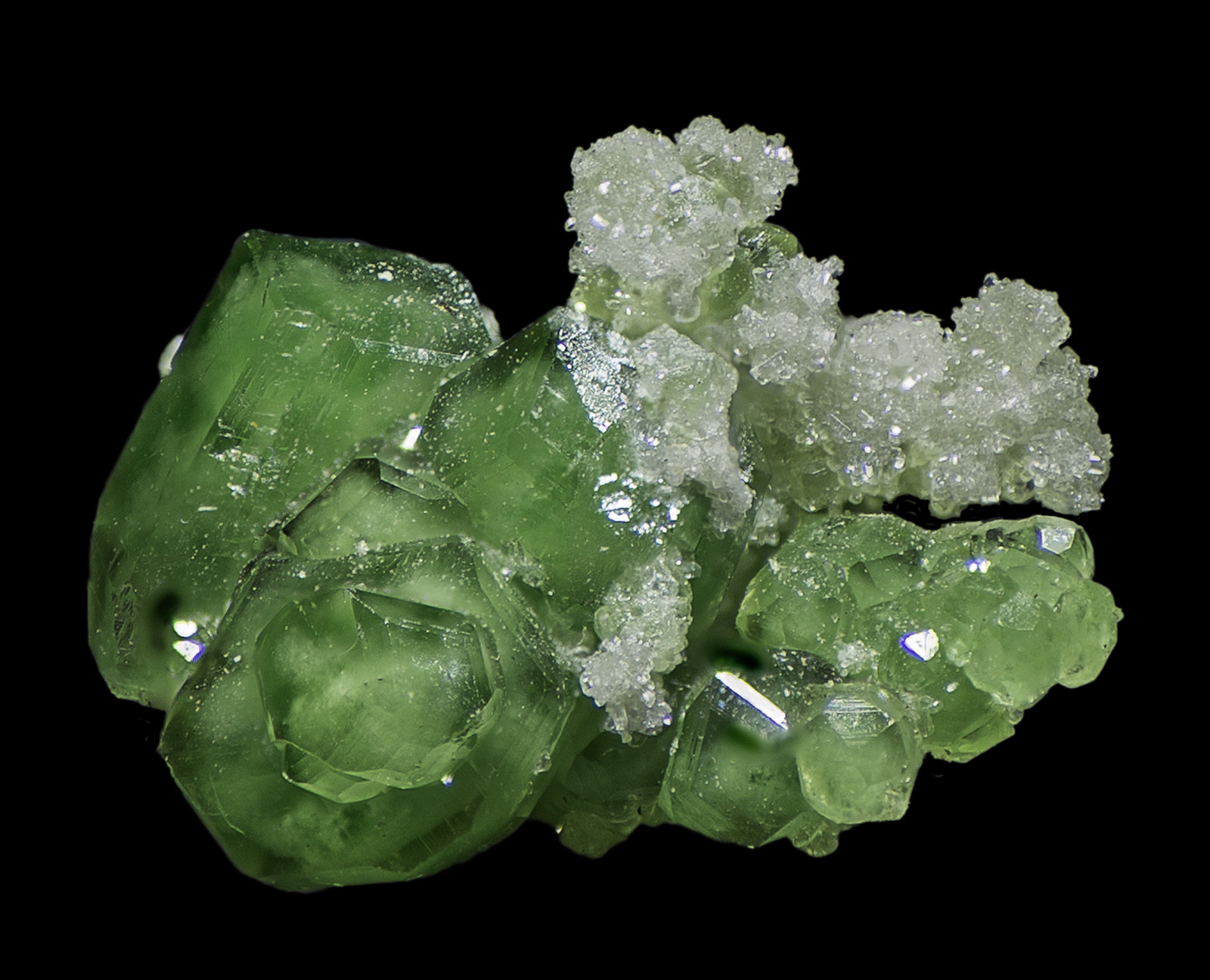 Grossular
7 x 6 x 4 mm
(Autor: Rob Schnerr)