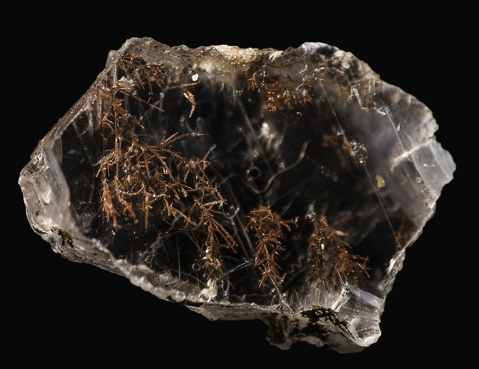 Copper in Gypsum
18 x 13 x 5 mm
(Autor: Rob Schnerr)
