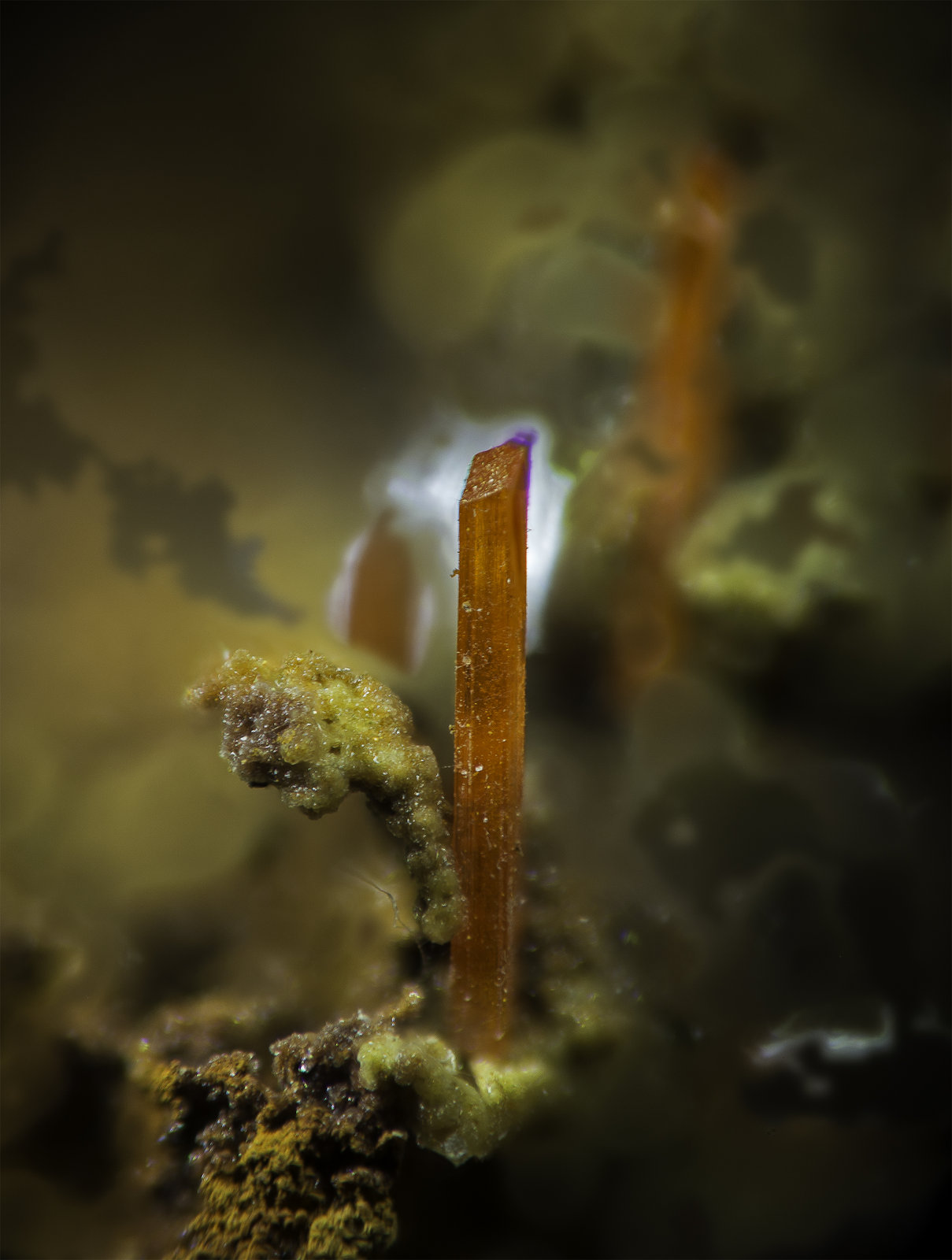 Crocoite
VOF appr. 10 mm
(Autor: Rob Schnerr)