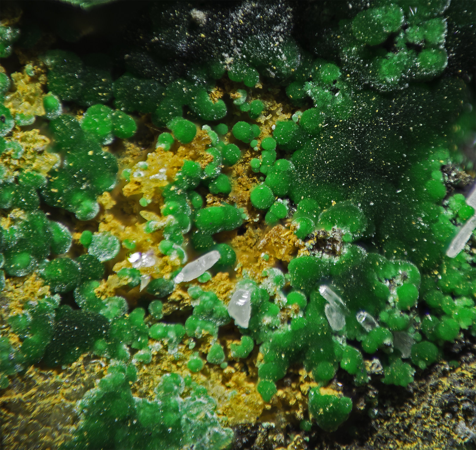 Malachite
FOV appr. 6 mm
(Autor: Rob Schnerr)