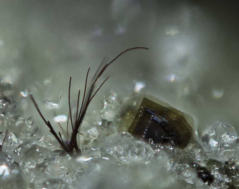 Warwickite and Fluorphlogopite
FOV appr. 4 mm
(Autor: Rob Schnerr)