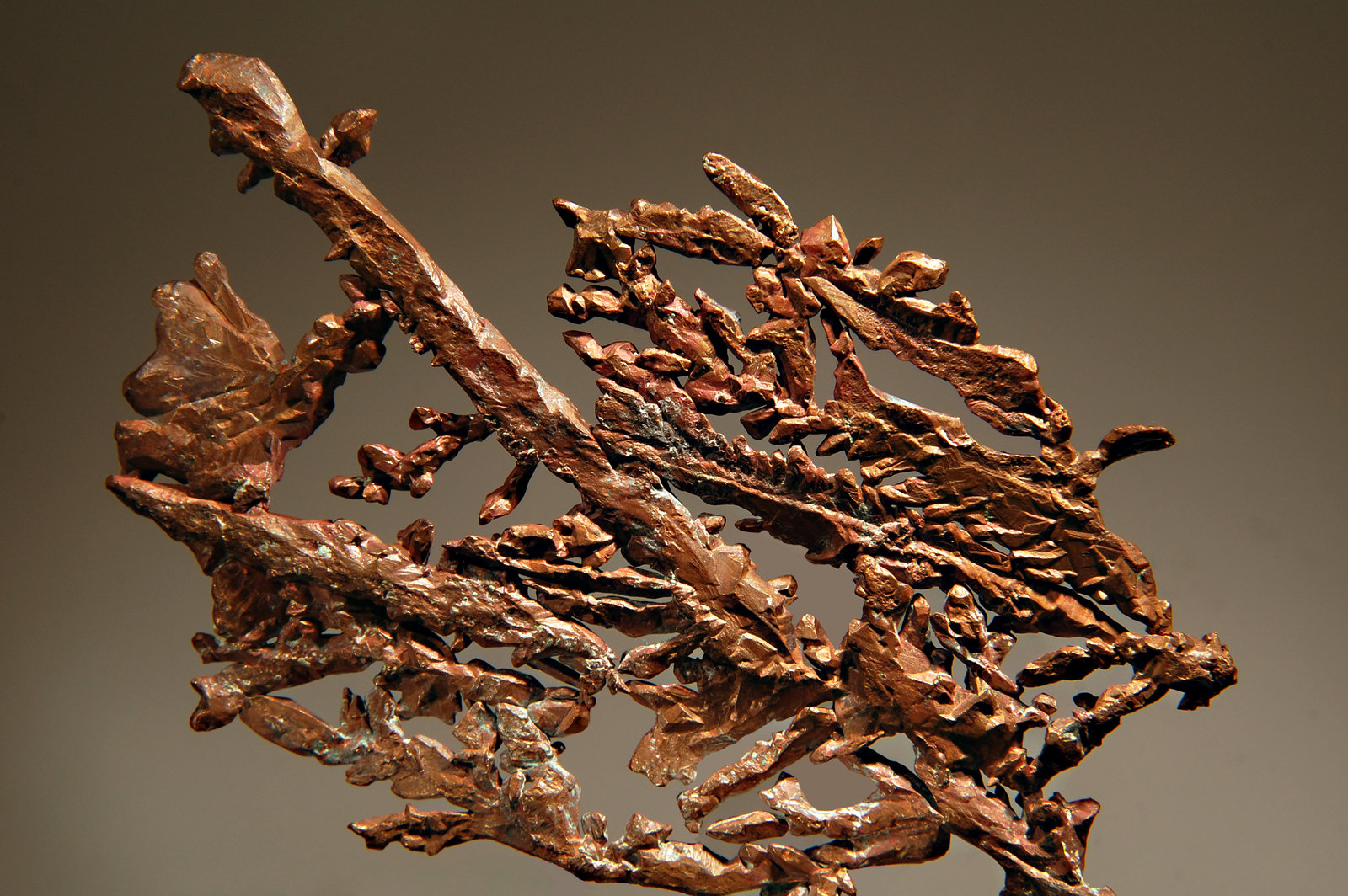 Copper
9.4 x 15.8 cm, FOV~10.0 cm
(Autor: Michael Shaw)