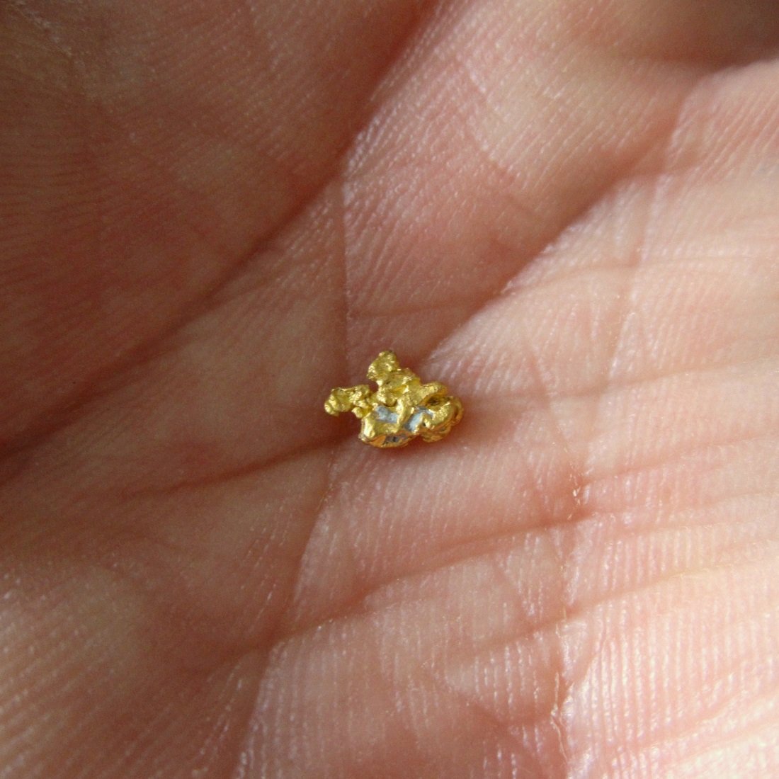 Gold
7 mm
(Autor: Tobi)