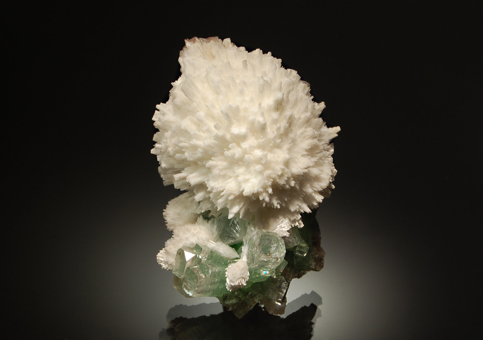 Mordenite
6.0 x 8.9 cm
(Autor: Michael Shaw)