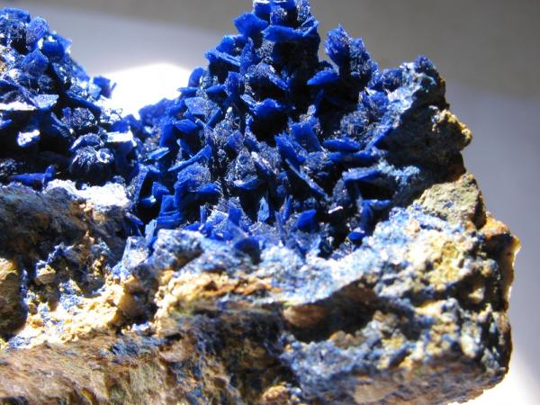 Azurite
6.0 x 7.0 cm
(Autor: Linda Smith)