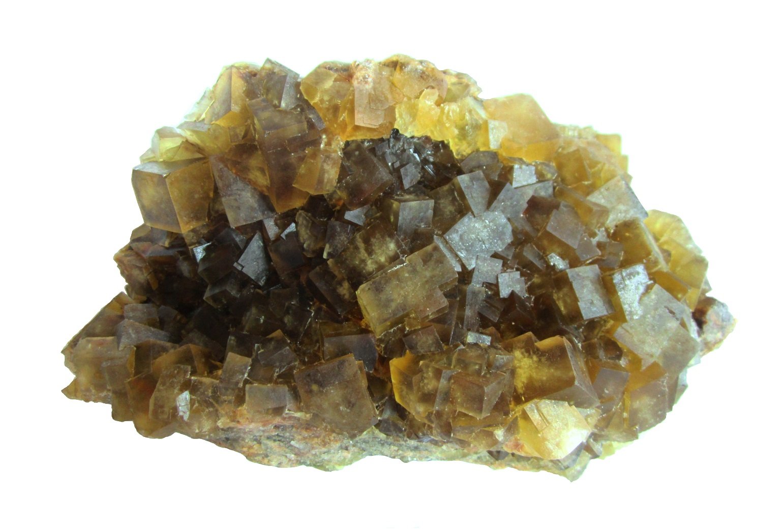 Fluorite
Specimen size 19 cm, largest crystal 2,3 cm
(Autor: Tobi)
