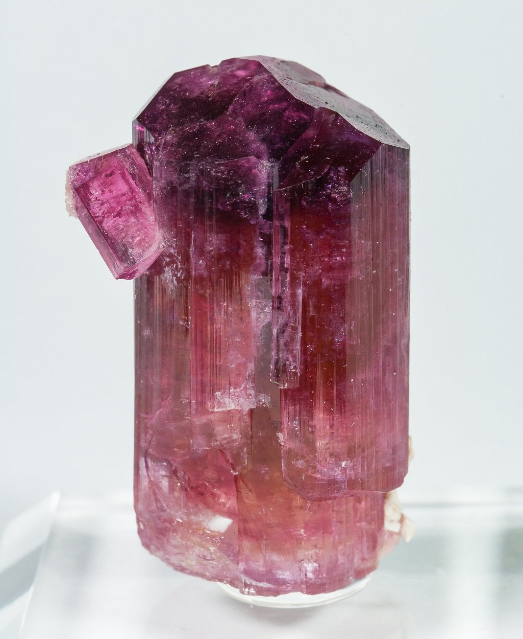 Elbaite (variety rubellite)
Specimen height 3 cm
(Autor: Tobi)