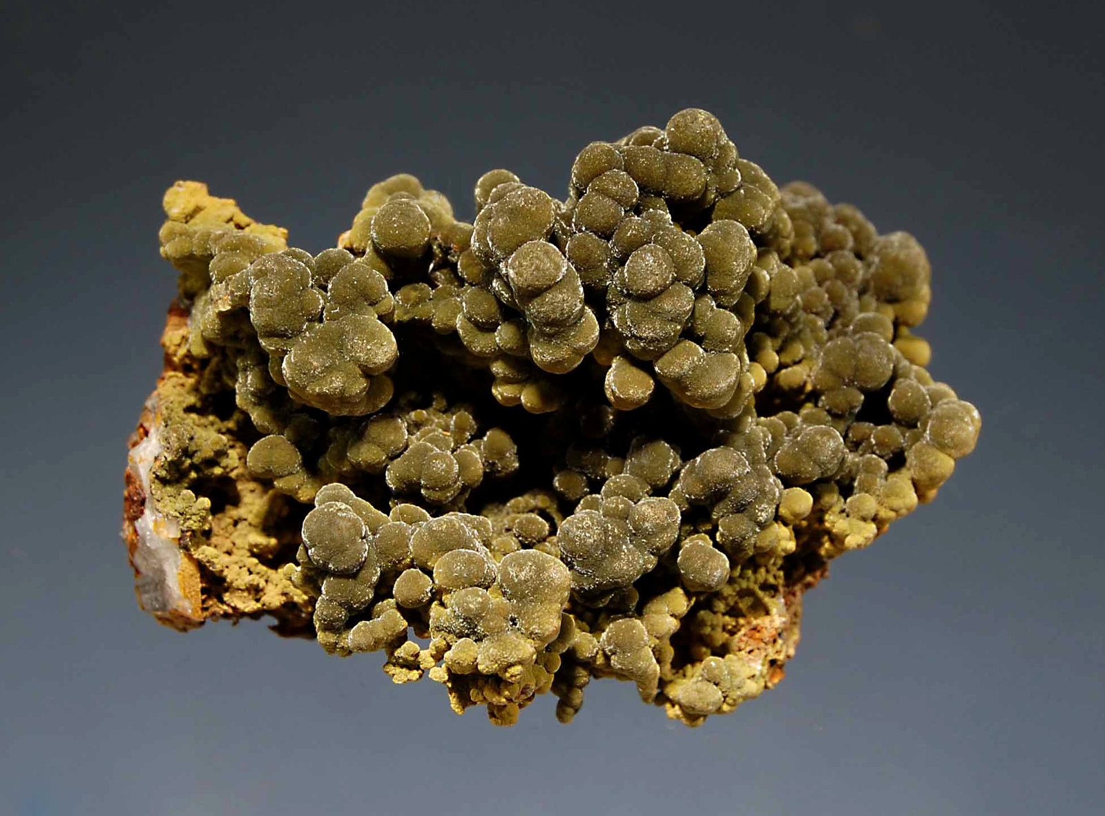 Mottramite
4.4 x 6.0 cm
(Autor: Michael Shaw)