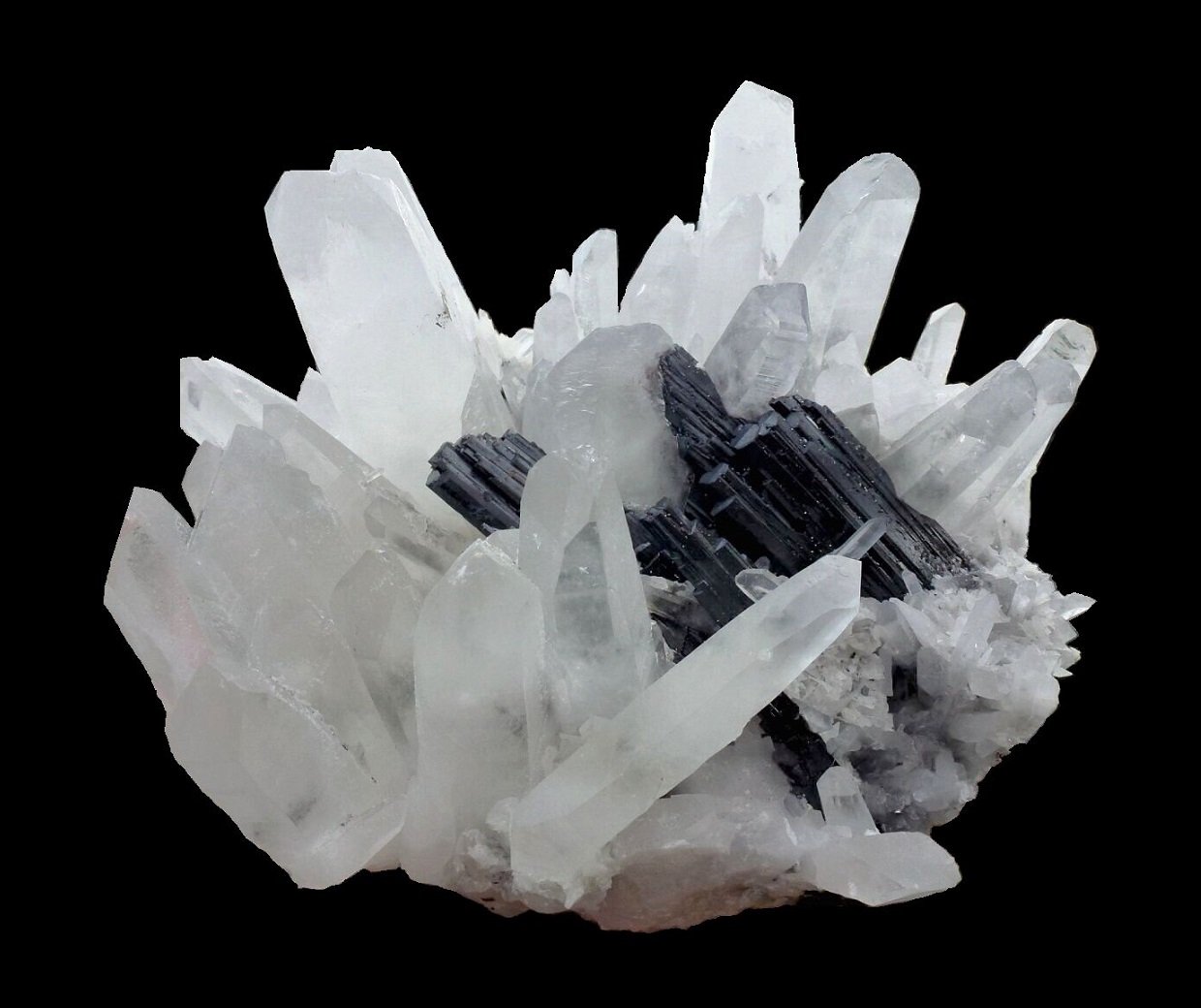 Quartz, Hübnerite
Specimen size 15 cm, largest quartz 8 cm, hübnerite aggregrate 8 cm
(Autor: Tobi)