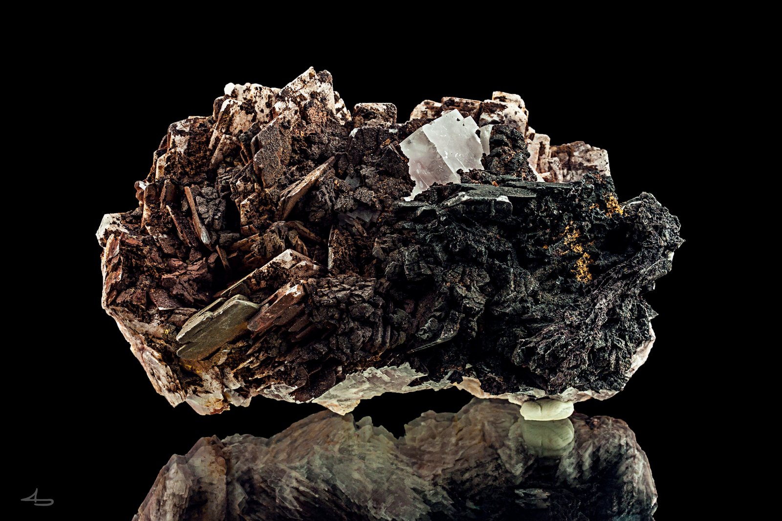 Baryte, Fluorite
11,3 x 6,6 x 5,8 cm
(Autor: Niels Brouwer)