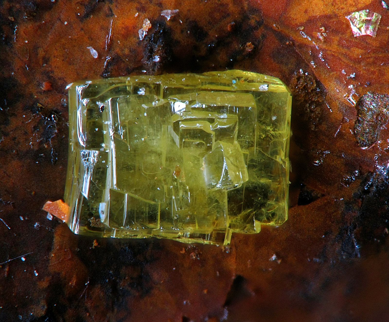 Nealite
FOV 1.2 mm.
(Autor: FMF Forum)