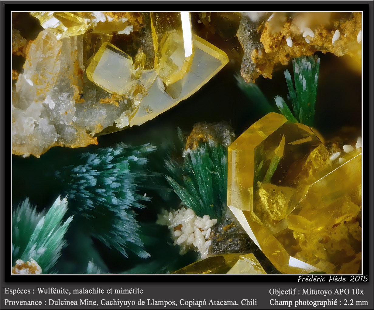 Wulfenite, Mimetite and Malachite
fov 2.2 mm
(Autor: ploum)