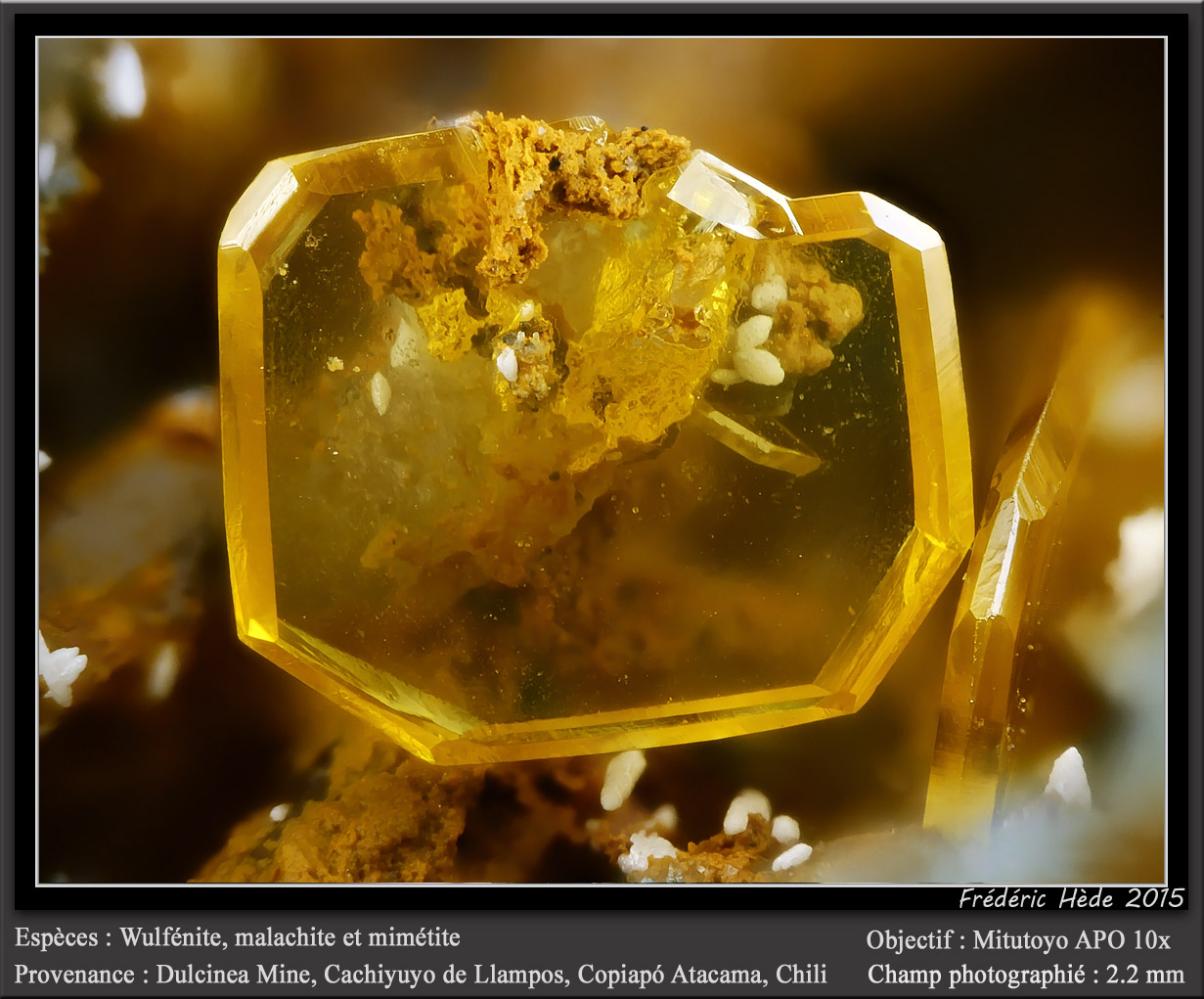 Wulfenite
fov 2.2 mm
(Autor: ploum)