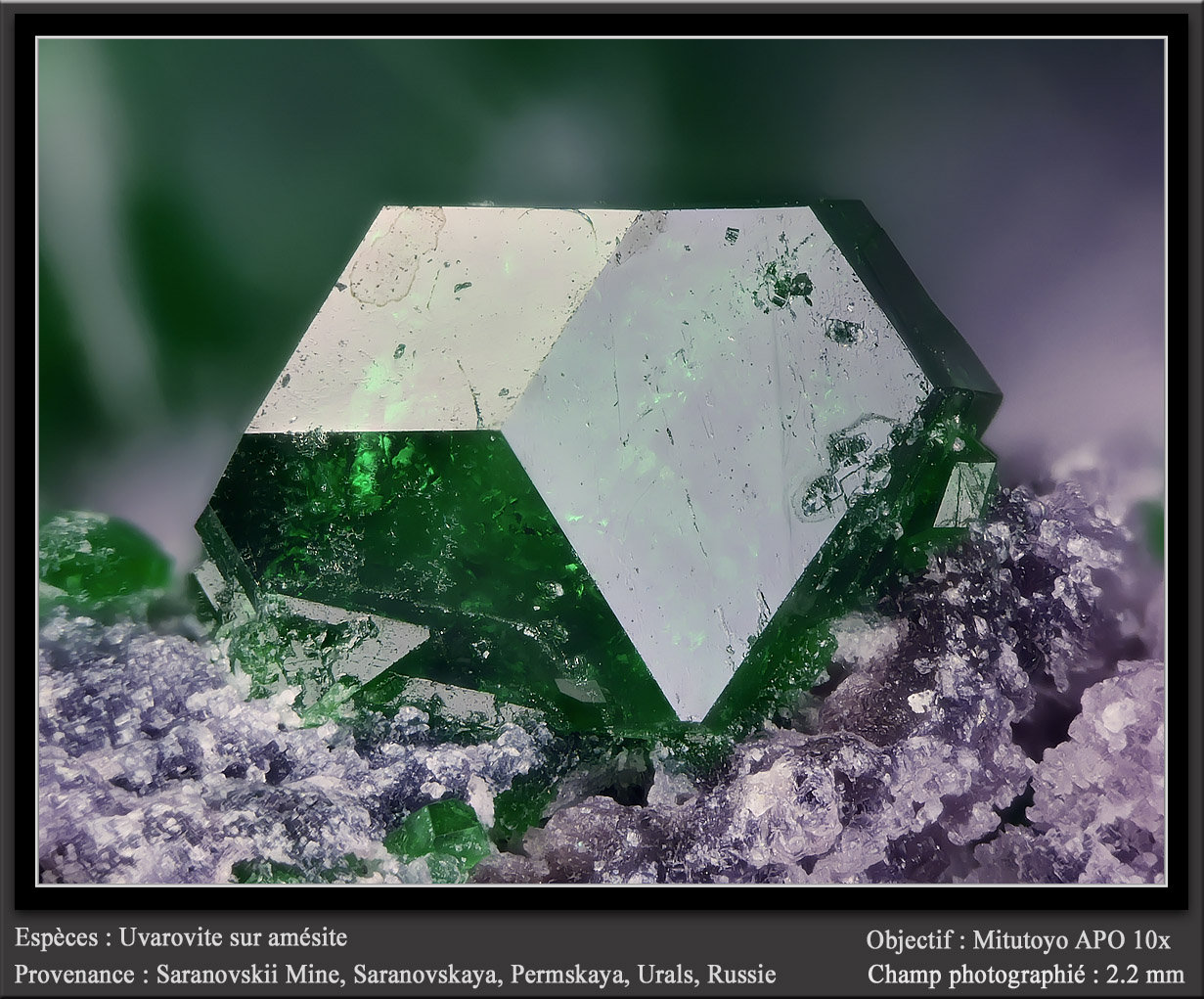 Uvarovite on Amesite
fov 2.2 mm
(Autor: ploum)