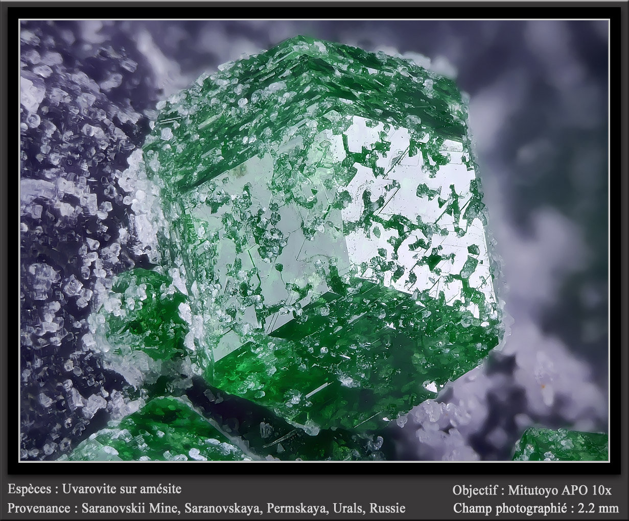 Uvarovite on Amesite
fov 2.2 mm
(Autor: ploum)