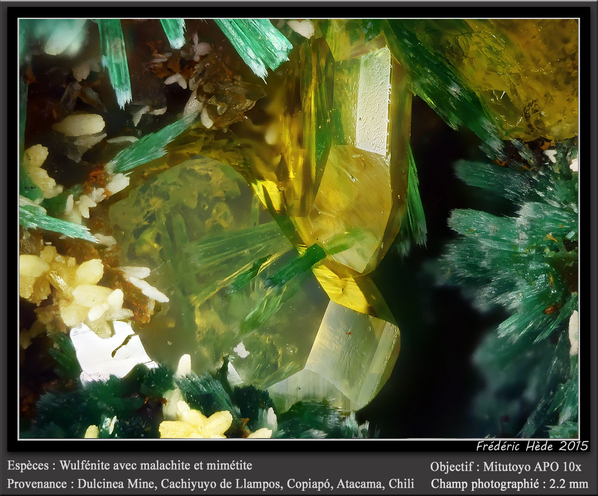 Malachite, Wulfenite and Mimetite
fov 2.2 mm
(Autor: ploum)
