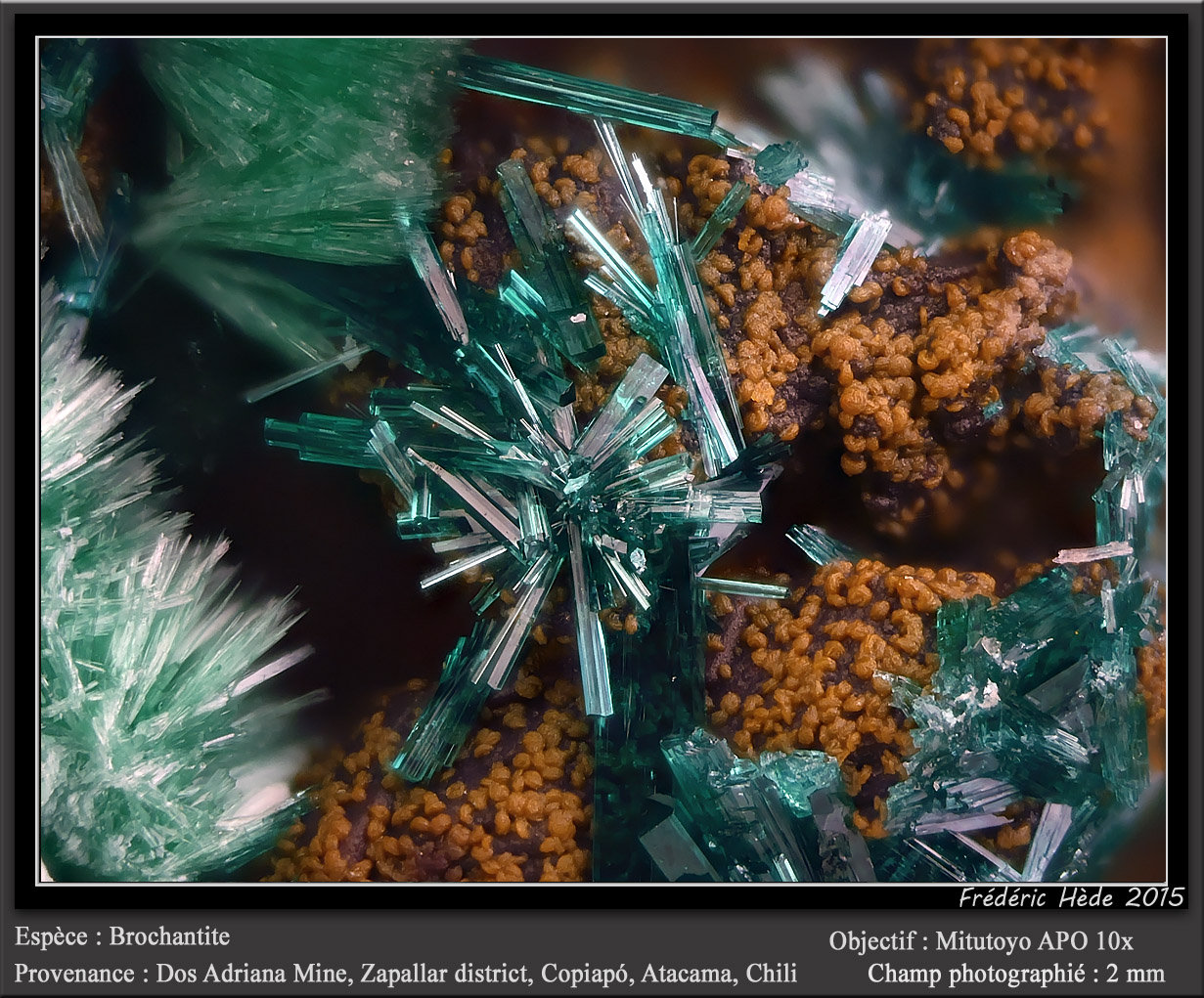 Brochantite
fov 2 mm
(Autor: ploum)