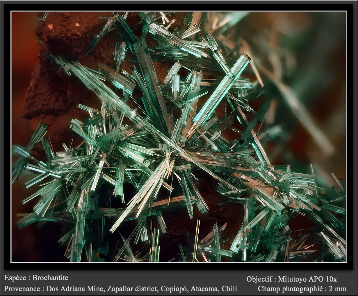 Brochantite
fov 2 mm
(Autor: ploum)