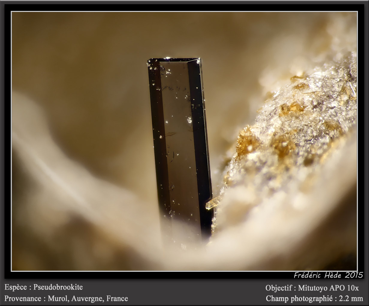 Pseudobrookite
fov 2.2 mm
(Autor: ploum)