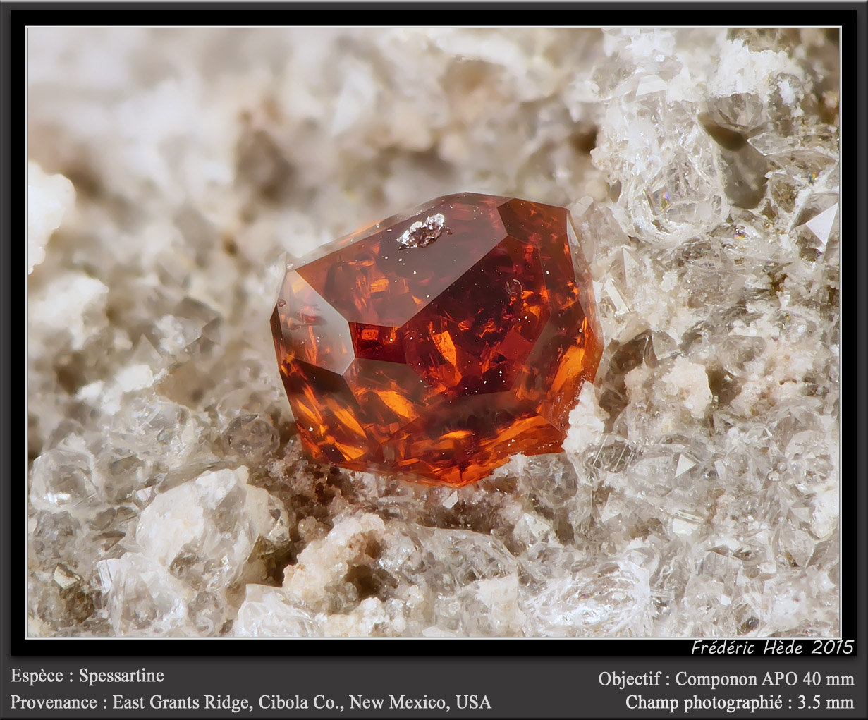 Spessartine
fov 3.5 mm
(Autor: ploum)