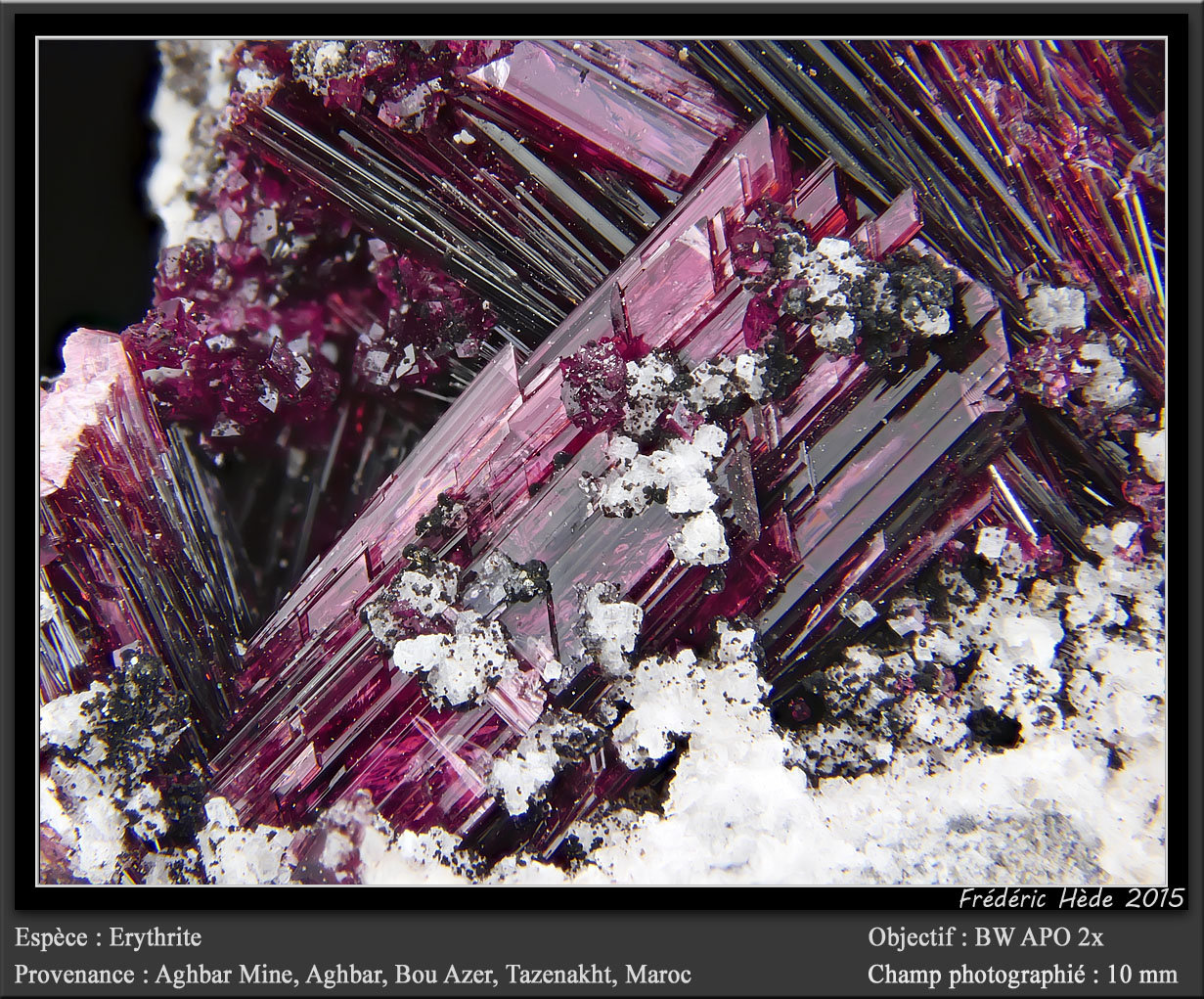 Erythrite
fov 10 mm
(Autor: ploum)