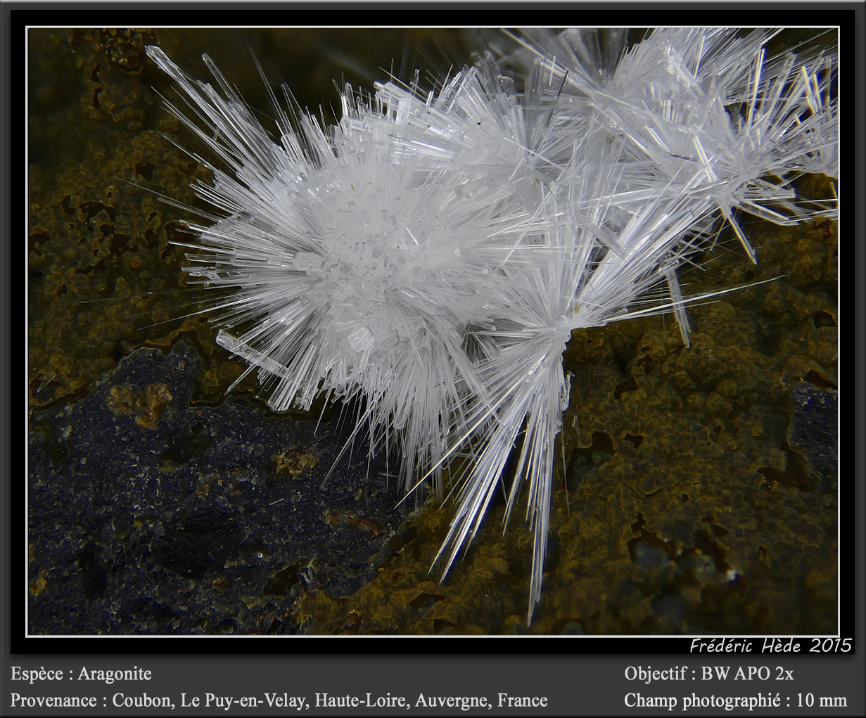 Aragonite
fov 10 mm
(Autor: ploum)