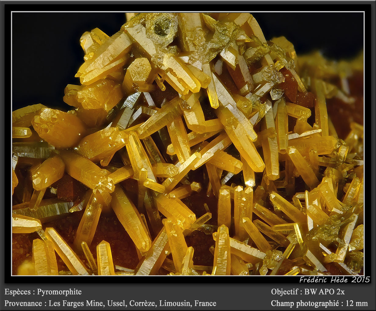 Pyromorphite
fov 12 mm
(Autor: ploum)