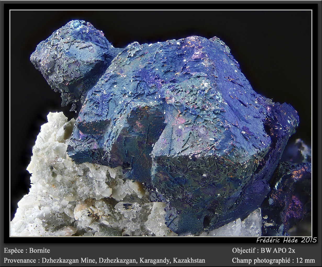 Bornite
fov 12 mm
(Autor: ploum)