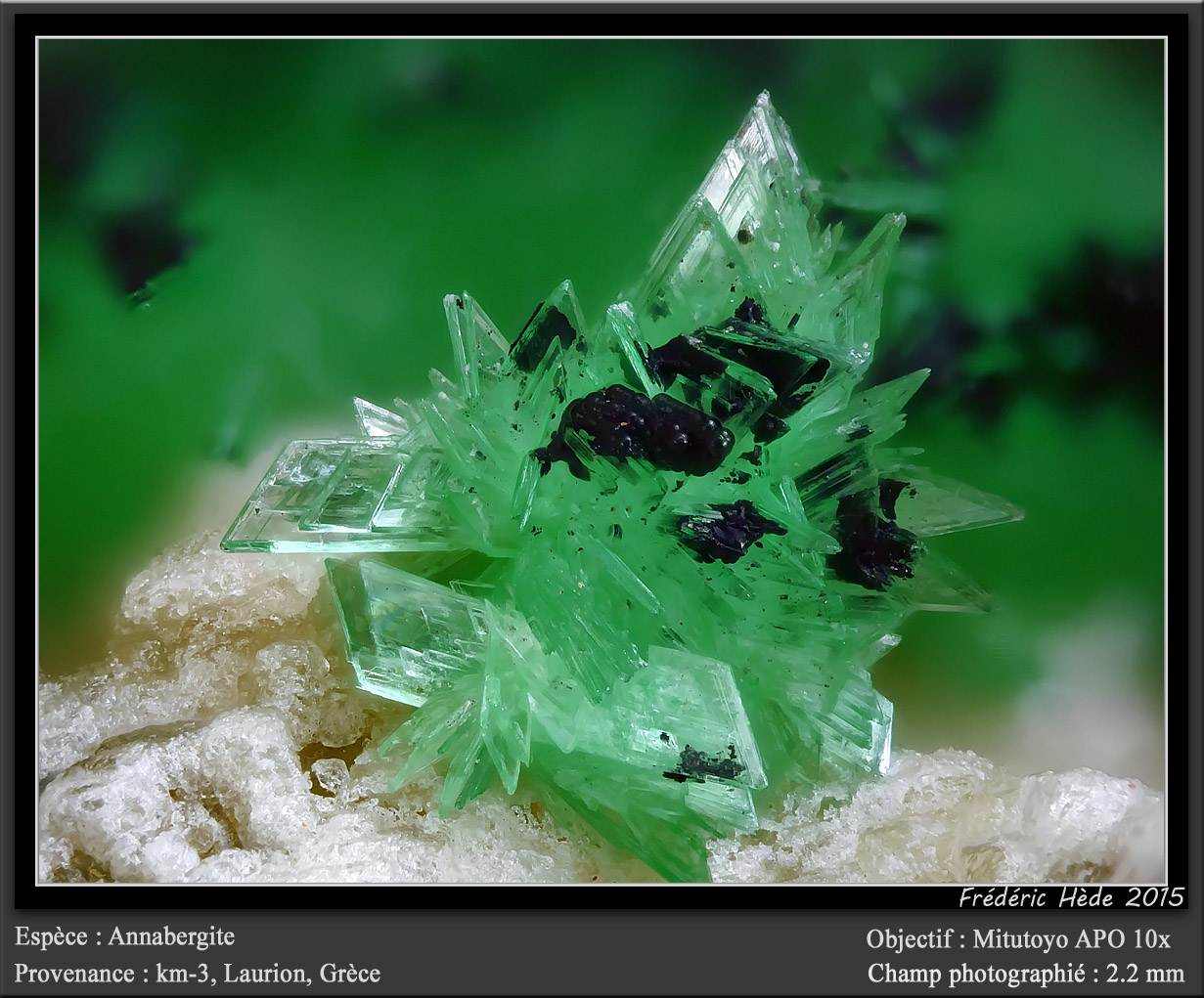 Annabergite
fov 2.2 mm
(Autor: ploum)
