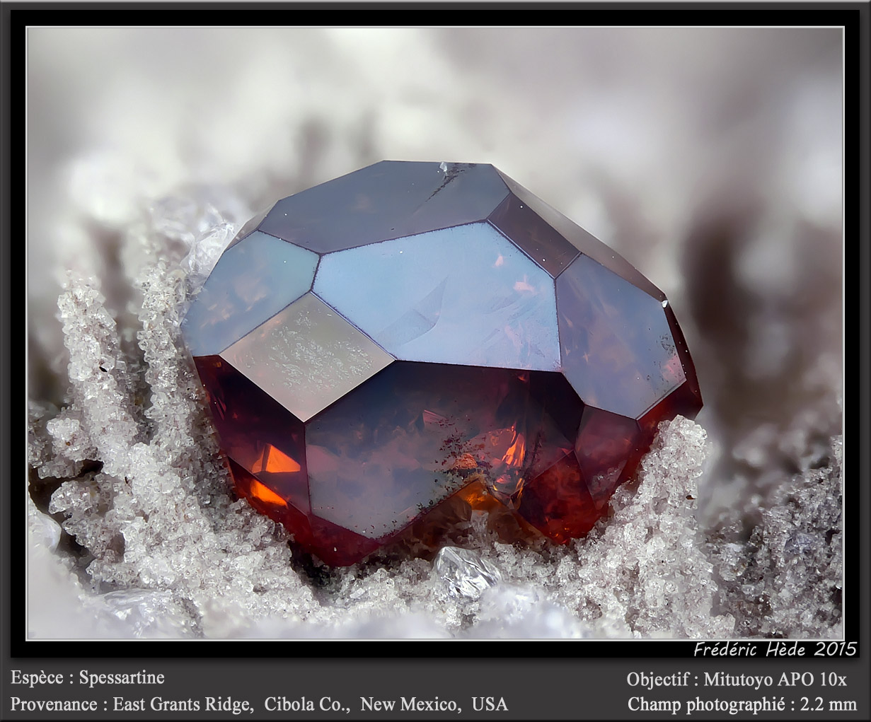Spessartine
fov 2.2 mm
(Autor: ploum)