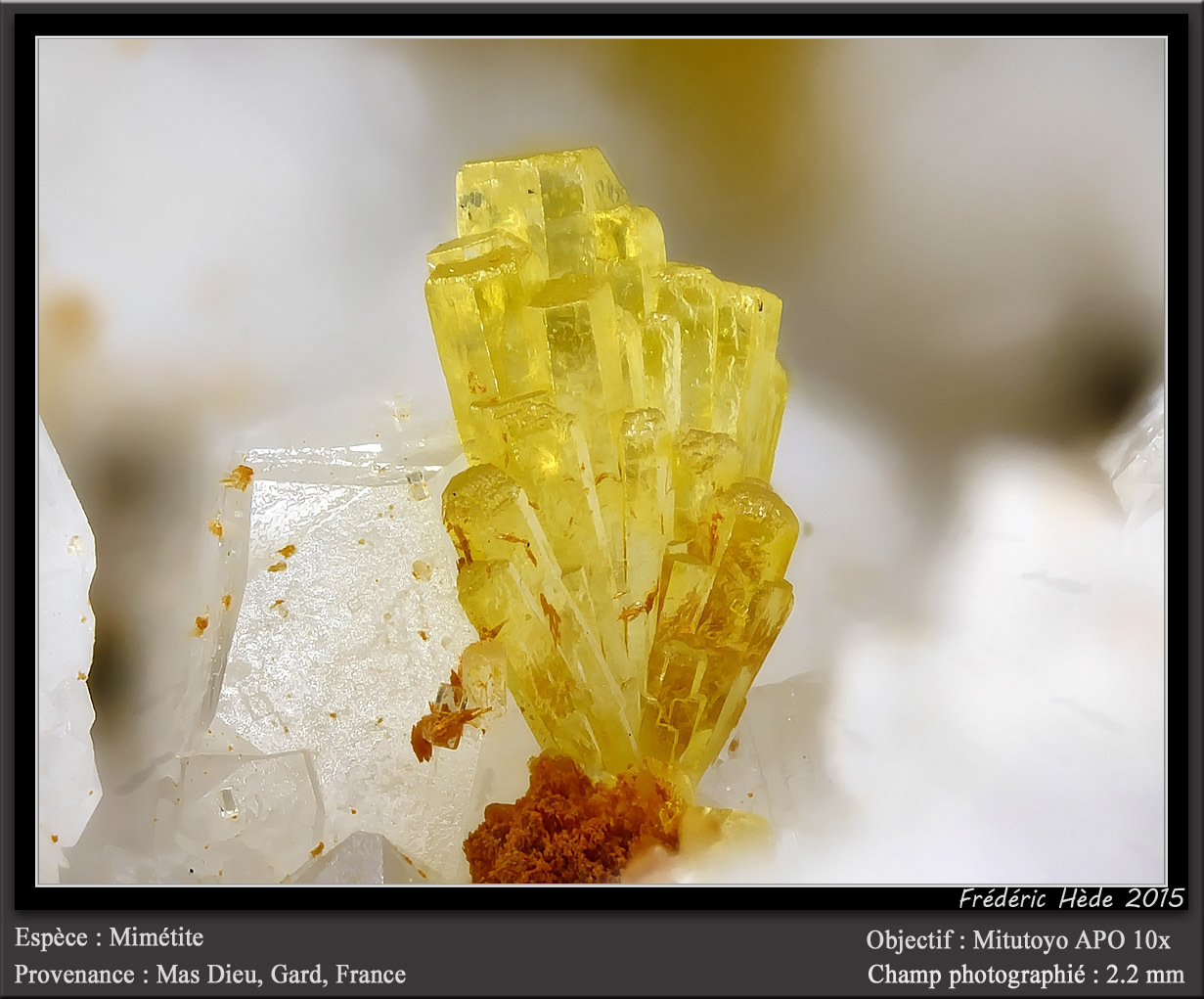 Mimetite
fov 2.2 mm
(Autor: ploum)