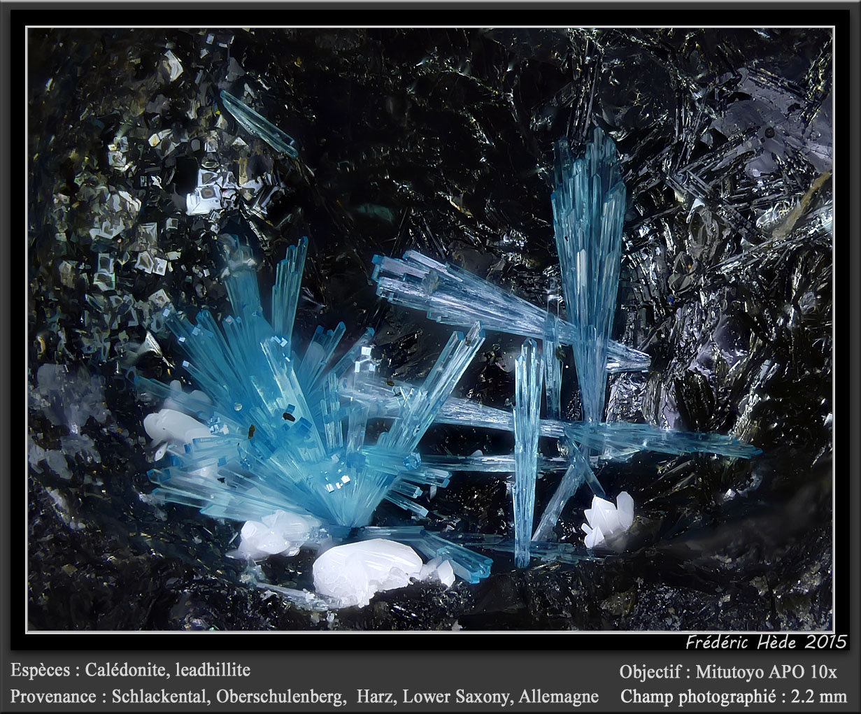 Caledonite
fov 2 mm
(Autor: ploum)