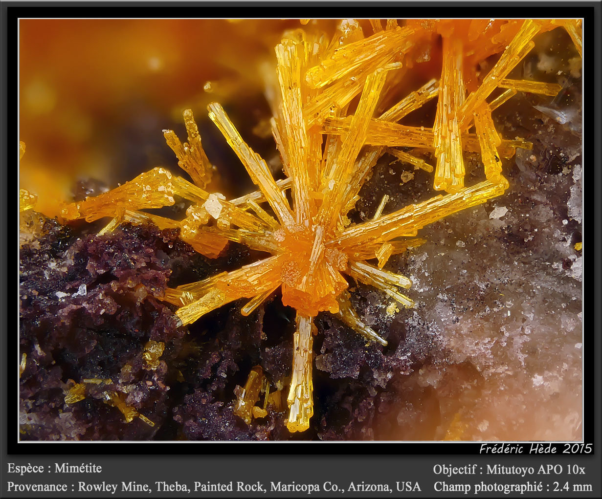 Mimetite
fov 2.4 mm
(Autor: ploum)