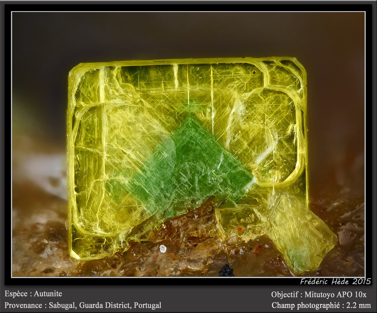 Autunite and torbernite
fov 2.2 mm
(Autor: ploum)