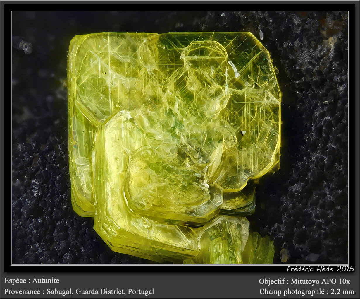 Autunite
fov 2.2 mm
(Autor: ploum)