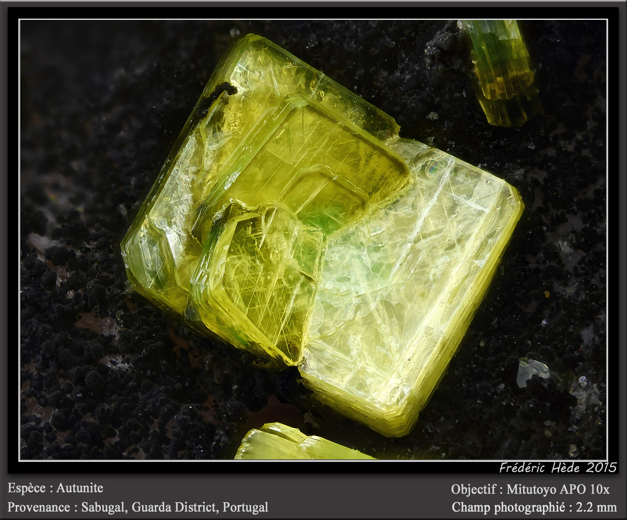 Autunite
fov 2.2 mm
(Autor: ploum)
