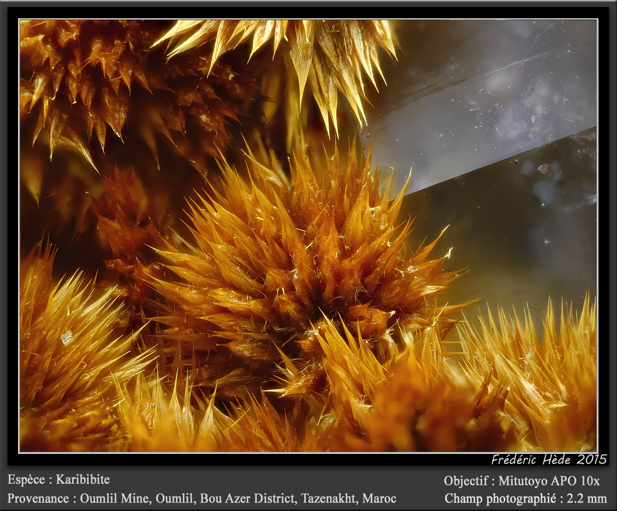 Karibibite
fov 2.2 mm
(Autor: ploum)