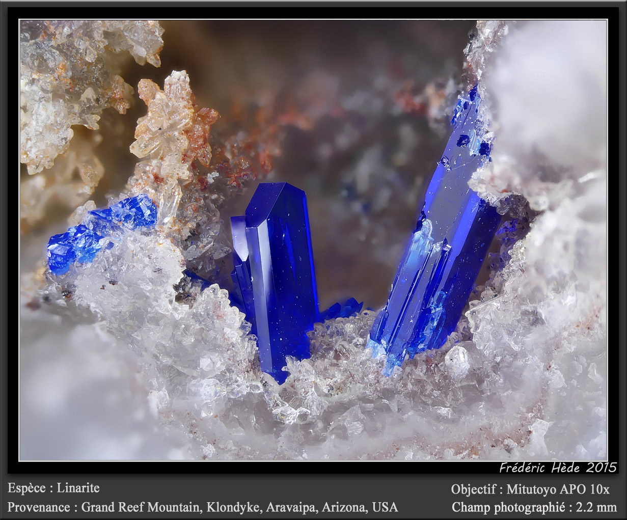 Linarite
fov 2.2 mm
(Autor: ploum)